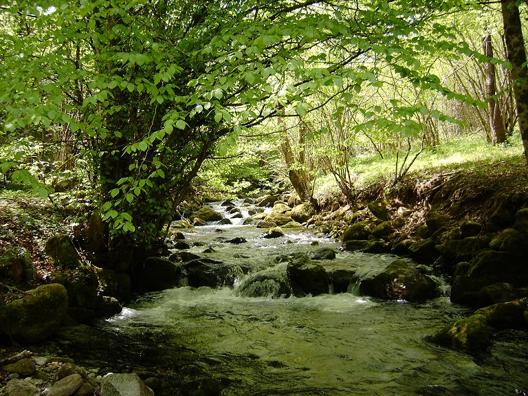 Petit ruisseau d'Ariège 1210345361-ruisseau2