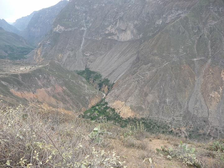 Perou_2010_CED_108.jpg