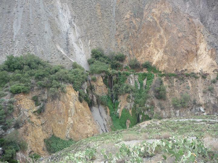 Perou_2010_CED_132.jpg