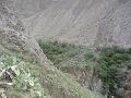 Perou_2010_CED_133