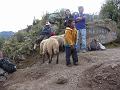 Perou_2010_CED_155