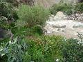 Perou_2010_CED_84