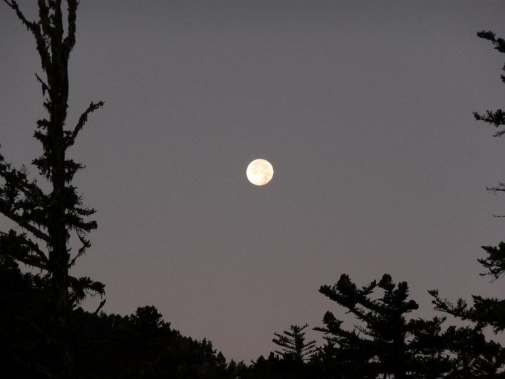 P1000030.JPG