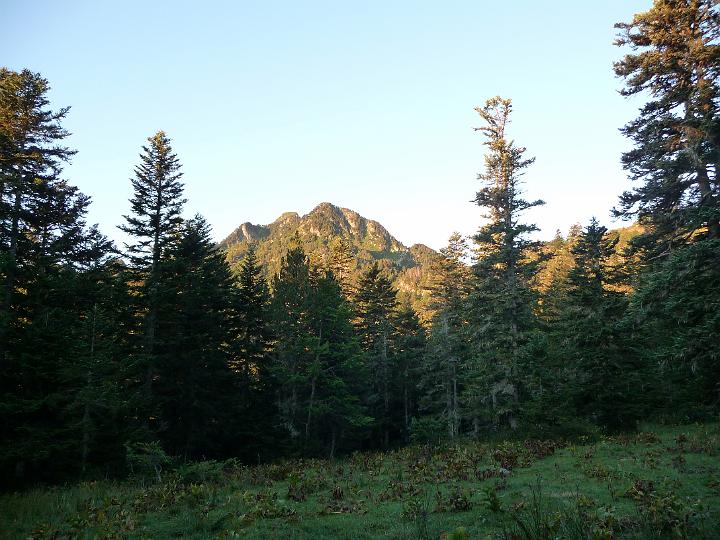 P1000033.JPG