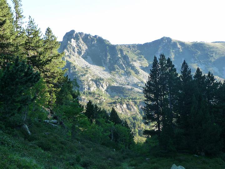 P1000039.JPG