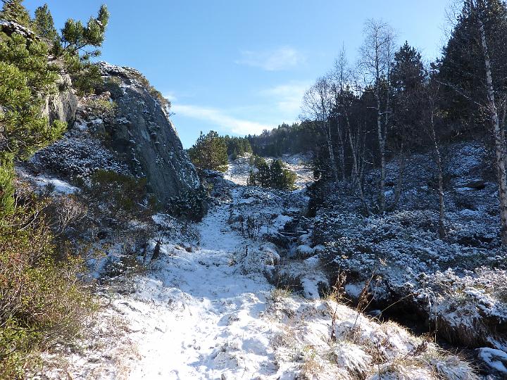 P1000394.JPG