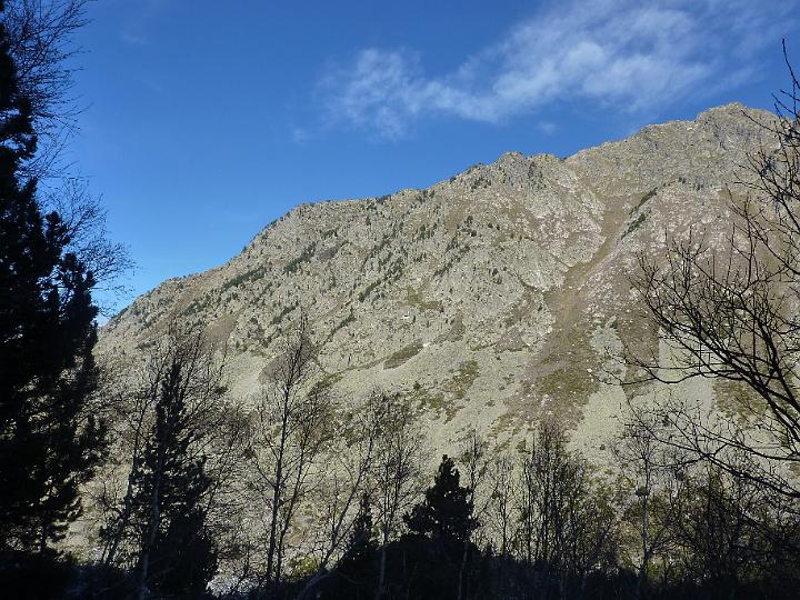 P1000402.JPG
