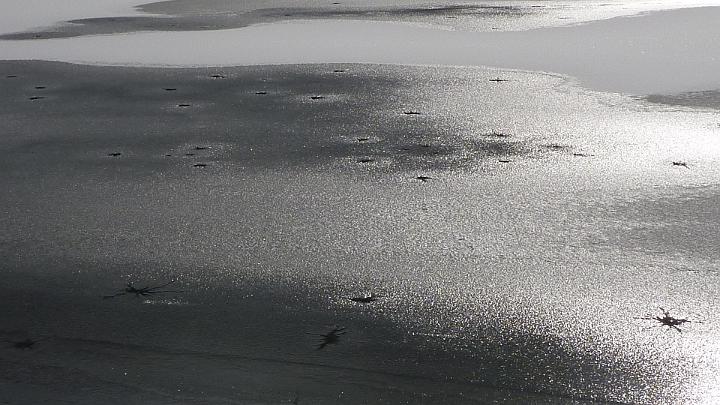 P1000450.JPG