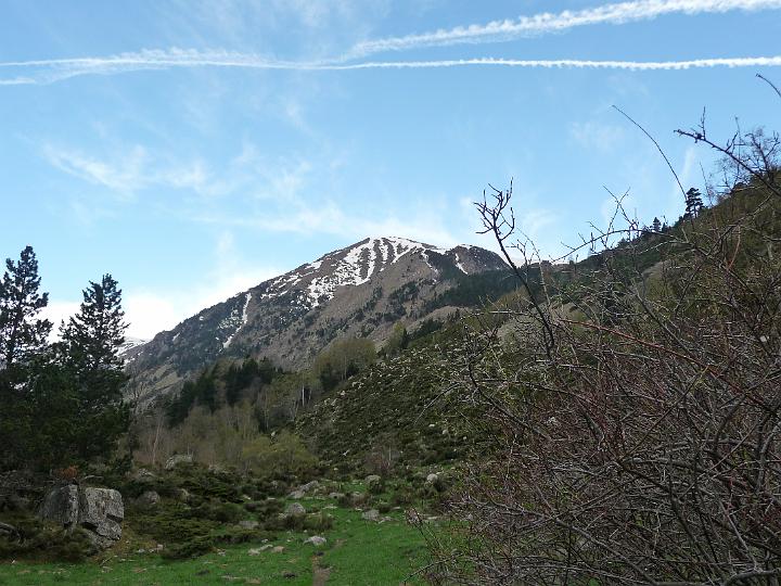 P1010459.JPG